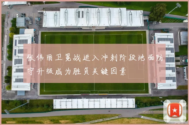 张伟丽卫冕战进入冲刺阶段地面防守升级成为胜负关键因素